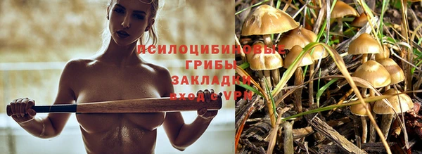 мдпв Михайловск