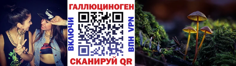 shop формула  Свирск  Галлюциногенные грибы мицелий  hydra как зайти 